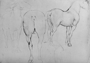 'Four Sketches of Horses', c1480 (1945). Artist: Leonardo da Vinci.