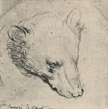 'Head of a Bear', c1480 (1945). Artist: Leonardo da Vinci.