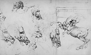 'Studies of Horses' Heads and of a Rearing Horse', c1480 (1945). Artist: Leonardo da Vinci.
