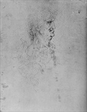 'Profile to the Right of an Old Man', c1480 (1945). Artist: Leonardo da Vinci.