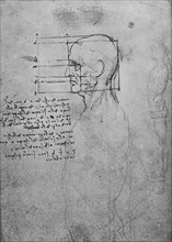 'Study of a Man's Nude Torso, the Head Squared for Proportion', c1480 (1945). Artist: Leonardo da Vinci.