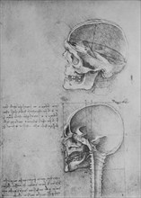 'Anatomical Drawings of Two Skulls in Profile to the Left', c1480 (1945). Artist: Leonardo da Vinci.