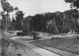 'The Fernery, Peradeniya Gardens, Ceylon', c1890 (1910). Artist: Alfred William Amandus Plate.