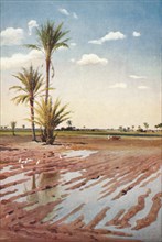 'An Irrigated Field', c1880, (1904). Artist: Robert George Talbot Kelly.