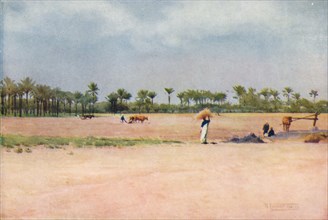 'Esbet-El-Ekiad - Land of Goshen', c1880, (1904). Artist: Robert George Talbot Kelly.