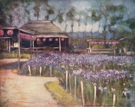 'Iris Garden', c1887, (1901). Artist: Mortimer L Menpes.
