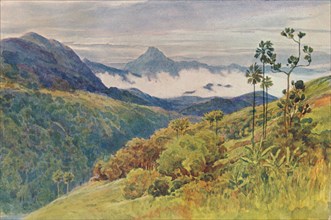 'Morning Mists in the Valley of the Mahawelli Gangha', c1880 (1905). Creator: Alexander Henry Hallam Murray.