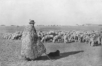 'A typical shepherd and his flock on the plains of Hungary', 1915. Artist: Unknown.