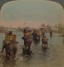 'Returning to camp after a day's shoot, Bebar jungle, India', 1909. Artists: Elmer Underwood, Bert Elias Underwood.