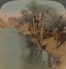 'In the Fayum, the richest Oasis in Egypt on Bahr Yussef (River Joseph), to the Nile', 1902. Artists: Elmer Underwood, Bert Elias Underwood.