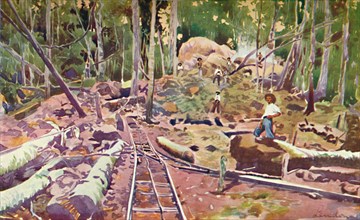 'Penetrating the Amazonian Forest - Madeira-Mamoré Railway', 1914. Artist: Unknown.