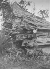 'A big bit of Brazilian Timber', 1914. Artist: Unknown.