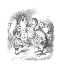 'Alice and the Dodo', 1889. Artist: John Tenniel.