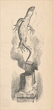 'The Lizard', 1889. Artist: John Tenniel.