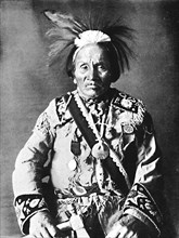 An Iroquois chief, 1912. Artist: Robert Wilson Shufeldt.