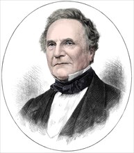 Charles Babbage (1791-1871) English mathematician and pioneer of computing, 1871. Artist: Unknown.