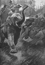 'The Frightened Elephants Rushed Back Crashing Through The Forest', 1895, (1902). Artist: Stanley Llewellyn Wood.