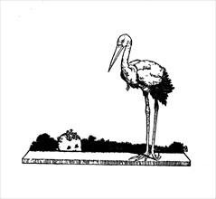 Stork! Stork! Long-Legged Stork!, c1930. Artist: W Heath Robinson.