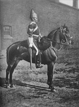 'Sergeant, 2nd Dragoon Guards (Queen's Bays)', c1880. Artist: Gregory & Co.