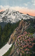 'The Primrose on Mount Rainier', c1916. Artist: Asahel Curtis.
