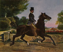 Konig Humbert I. von Italien 1844-1900. - Gemälde von Palizzi', 1934