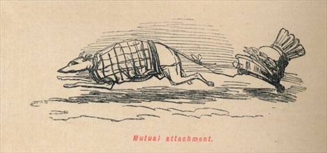 'Mutual attachment', 1852. Artist: John Leech.