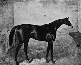 'Blair Athol', 1861-1882, (1911). Artist: Unknown.