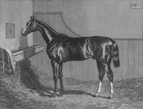 'The Rt. Hon. The Earl of Lichfields Elis. Winner of the St. Leger 1836', 1911. Artist: Unknown.