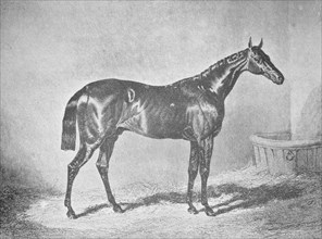 'Charles XII, Winner of the St. Leger' 1839, (1911). Artist: Unknown.