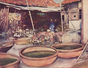 'Nursery Garden', 1903. Artist: Mortimer L Menpes.