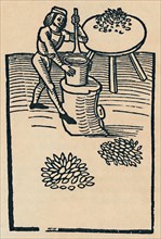 'Crushing Herbs in a Mortar', 1947. Artist: Unknown.