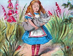 'Alice holding a pig in her arms.', c1910. Artist: John Tenniel.