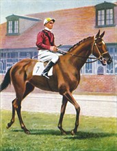 Senor, Jockey: J. Crouch', 1939. Artist: Unknown.