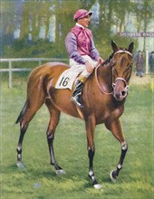 Zoltan, Jockey: M. Beary', 1939. Artist: Unknown.