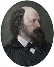 Alfred Tennyson, DCL, FRS, English Poet Laureate, 1883. Artist: Lock & Whitfield.