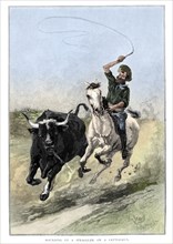 'Rounding Up A Straggler On A Cattle Run', Australia, 1886.  Artist: Frank P Mahony.