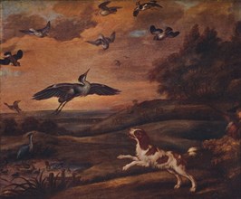 'Shooting Plover', late 17th century, (1922). Artist: Francis Barlow.