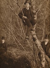 'Man sat in a tree', 1937. Artist: Louis Guichard.
