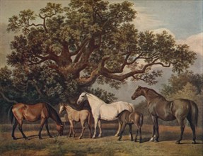 'Brood Mares and Foals', late 18th century, (1922). Artist: George Townley Stubbs.
