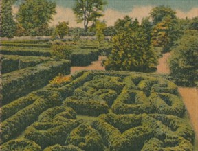 'The Flower Garden, general view', 1946. Artist: Unknown.