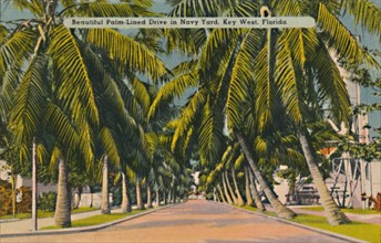 'Beautiful Palm-Lined Drive in Navy Yard, Key West, Florida', c1940s. Artist: Unknown.