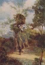'Melanesian Tree-House', 1924. Artist: Unknown.