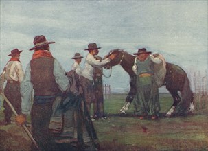 'Gauchos Breaking in a Young Horse', 1916. Artist: A S Forrest.