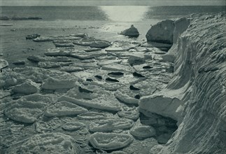 'Seals Basking on Newly Formed Pancake Ice Off Cape Evans', c1910?1913, (1913). Artist: Herbert Ponting.