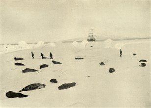 'The Nimrod at Pram Point on March 4, 1909'. Artist: Unknown.