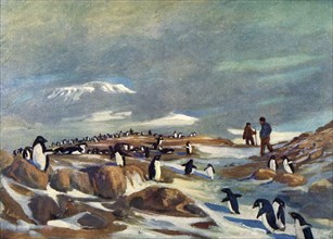'Return of the Penguins', c1908, (1909).  Artist: George Marston.