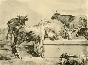 'Cows watering', mid-late 18th century, (1928). Artist: Giovanni Domenico Tiepolo.