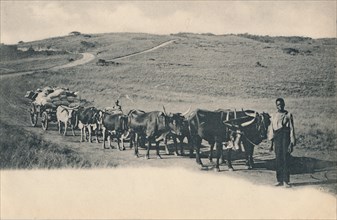 'A typical ox waggon - South Africa', early 20th century. Creator: Unknown.