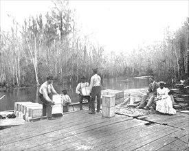 Loading oranges on the Ocklawaha River, Florida, USA, c1900. Creator: Unknown.