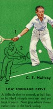 'C. E. Malfroy - Low Forehand Drive', c1935. Creator: Unknown.